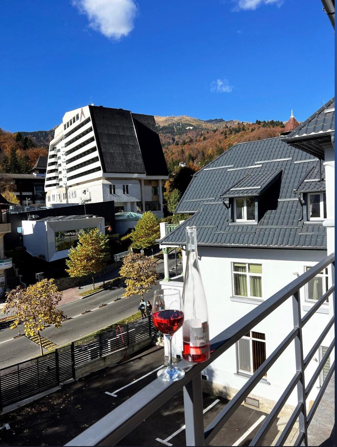 Ana Apartments Sinaia Exterior photo